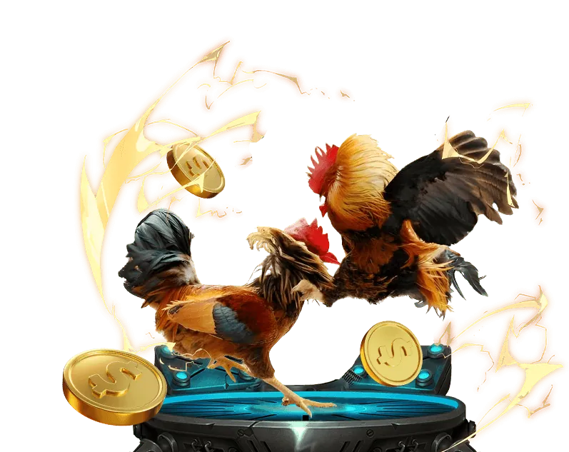 Hoàn trả cược xổ số hàng ngày/tuần tại 8day